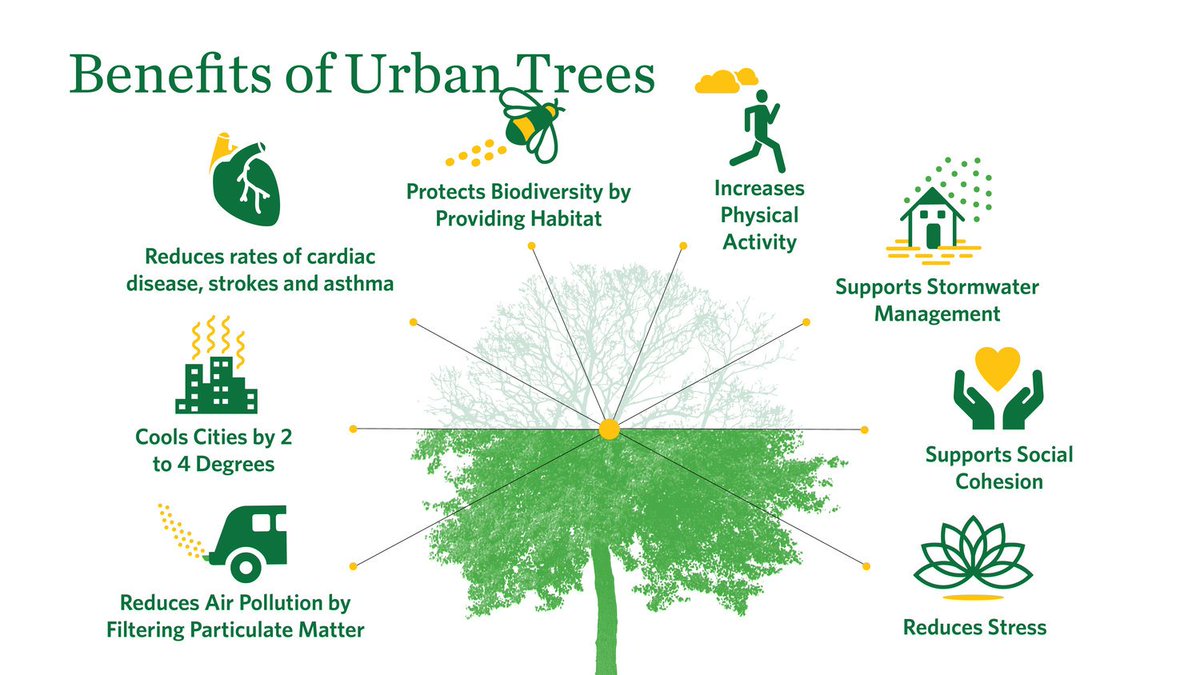 Scientific studies have shown that being in nature can help improve mental health and cognitive function. Learn more about some of the benefits of urban trees 🌳🌳🌳 Infographic via @nature_org