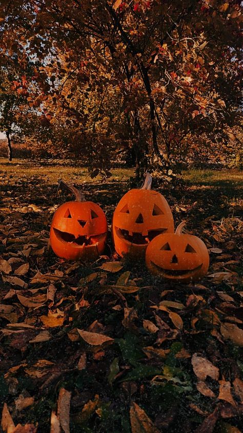 158 days until Halloween! Are you ready? 🎃🍂🎃🍂🎃🍂🎃🍂🎃 #Halloween