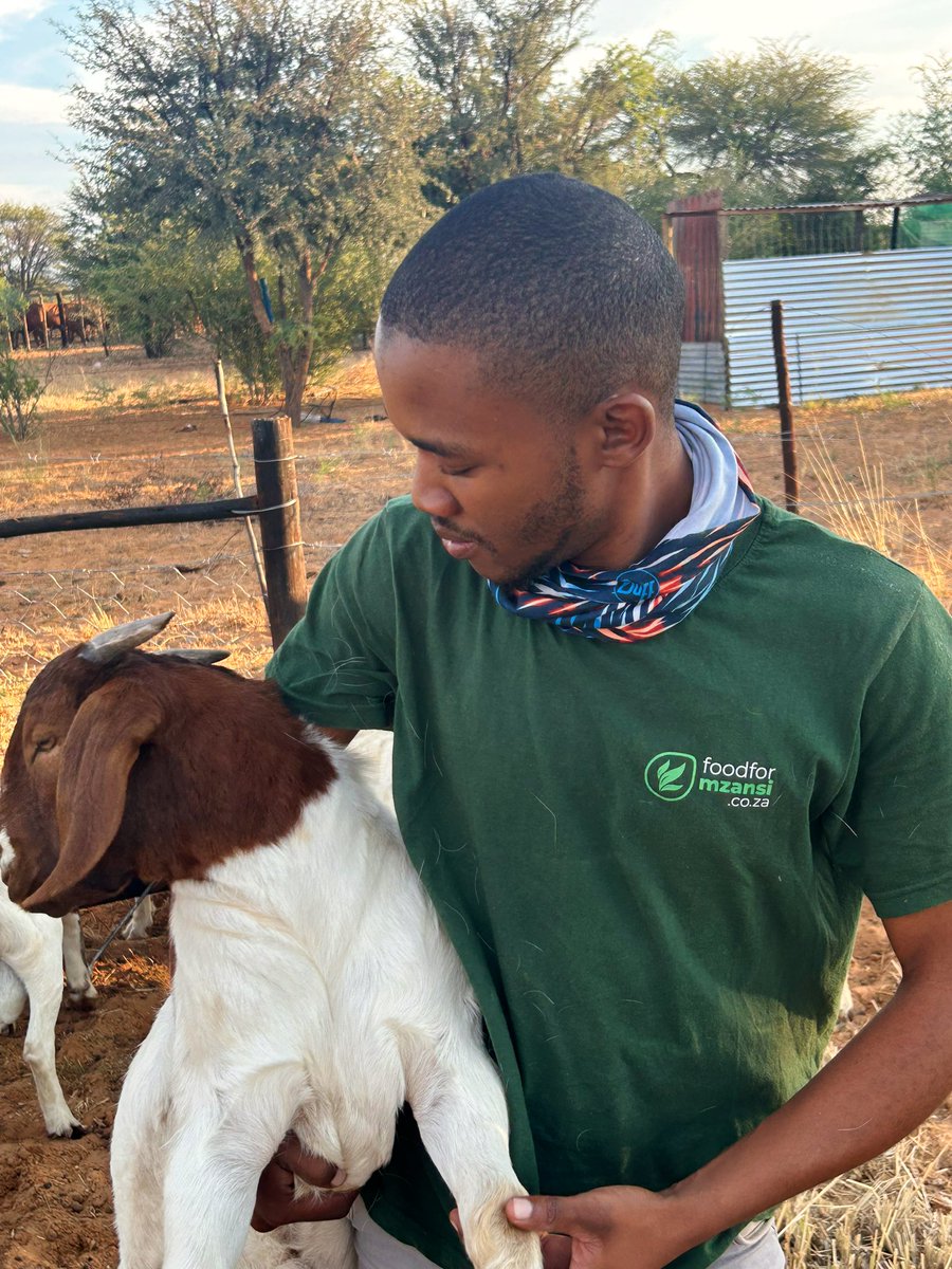 All roads lead to <a href="/foodformzansi/">Food For Mzansi</a> Farmers Indaba. Super excited to be meeting industry leaders, gaining knowledge and networking. Get your tickets now!

🎟️: bit.ly/FarmingIndaba2…

#MzansiYoungFarmersIndaba2024 #PlaasToe
🗓️: 04-06 April 2024
🏟️: Lavender Kontrei Market; Pretoria