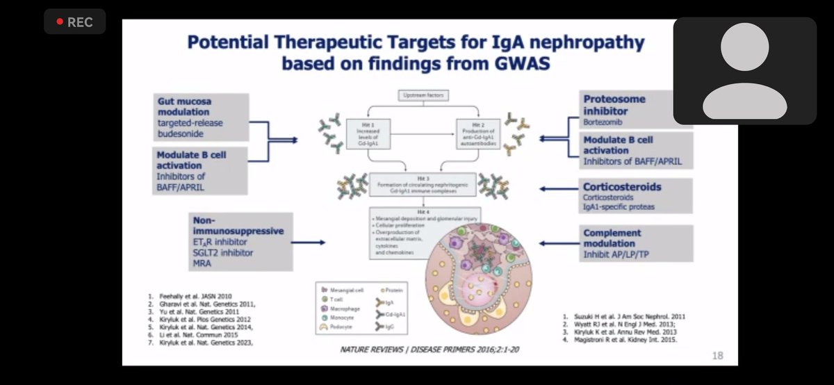 2/ GWAS studies prove the multi-hit theory and it gives rise to the specific therapy against different pathway.

#ThisIsIsn #ISNwebinar