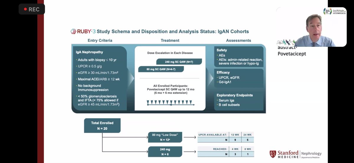 4/ Few interesting novel therapy in the pipeline and few of them already showing promising results. 

#ThisIsIsn #ISNwebinar