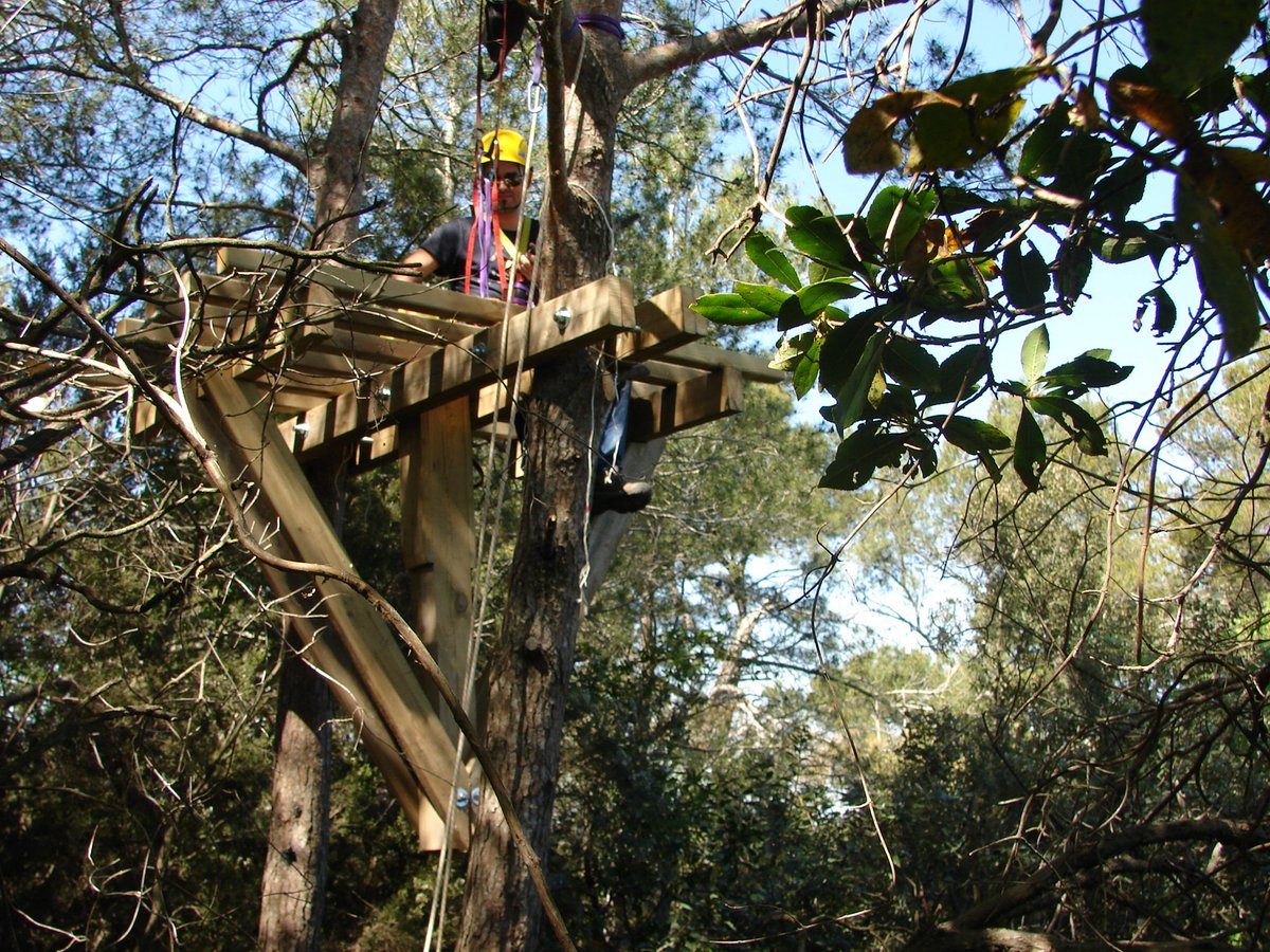 AmicsMCNB's tweet photo. Sortida naturalista: Projecte Biodiversitat Insecta Collserola, el proper dissabte 13 d’abril, a càrrec de Jorge Mederos, investigador i col·laborador del Museu https://t.co/xlTA4QlZ1i