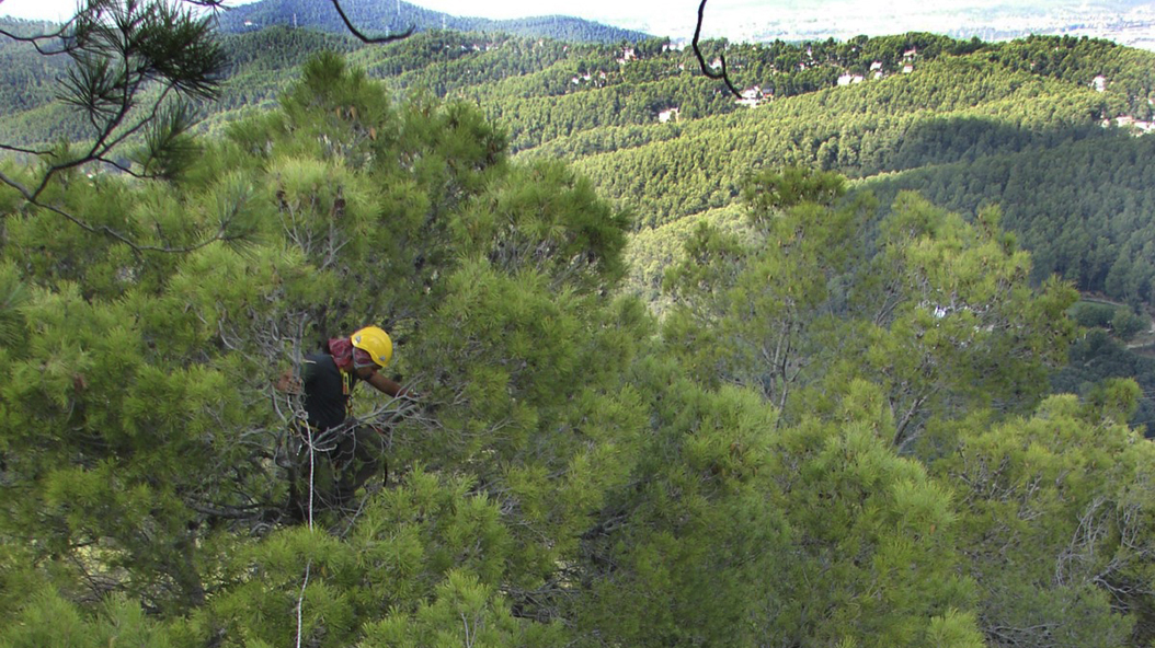 AmicsMCNB's tweet photo. Sortida naturalista: Projecte Biodiversitat Insecta Collserola, el proper dissabte 13 d’abril, a càrrec de Jorge Mederos, investigador i col·laborador del Museu https://t.co/xlTA4QlZ1i
