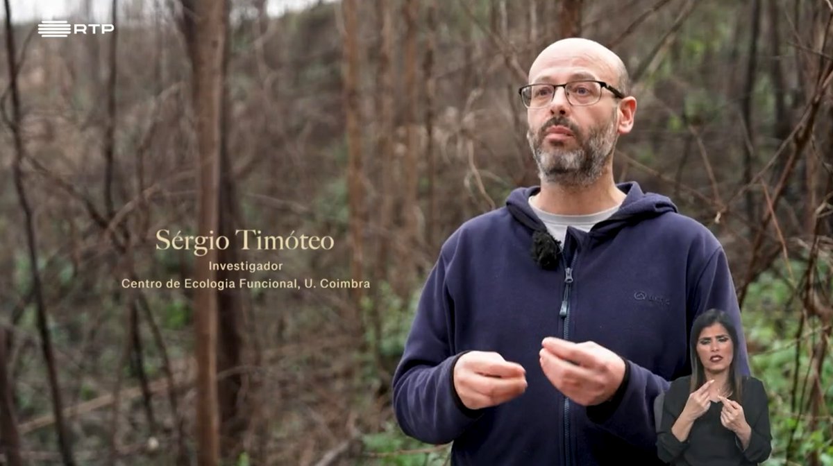 Sérgio Timóteo e José Costa, investigadores do DCV, participaram no "Biosfera", onde apresentaram o projeto "Life After Fire", que tem como objetivo principal estudar a importância da dispersão de sementes na recuperação das florestas após um incêndio.
rtp.pt/play/p12688/e7…