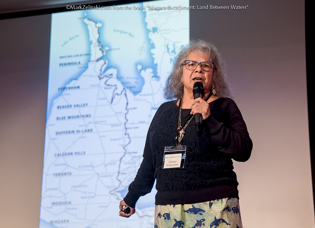 #Indigenous #TwoEyedSeeing/#EthicalSpace Training + #ClimateChange March 2024 Conference by @CanadaPlenty @MohawkCollege @environmentca @CdnHeritage #NEBN @GPbytheGrand @SixNationsGR #ClimateAction #ForFutureGenerations. 
Photos from #LandBetweenWaters MarkZelinski.com/photography-bo…