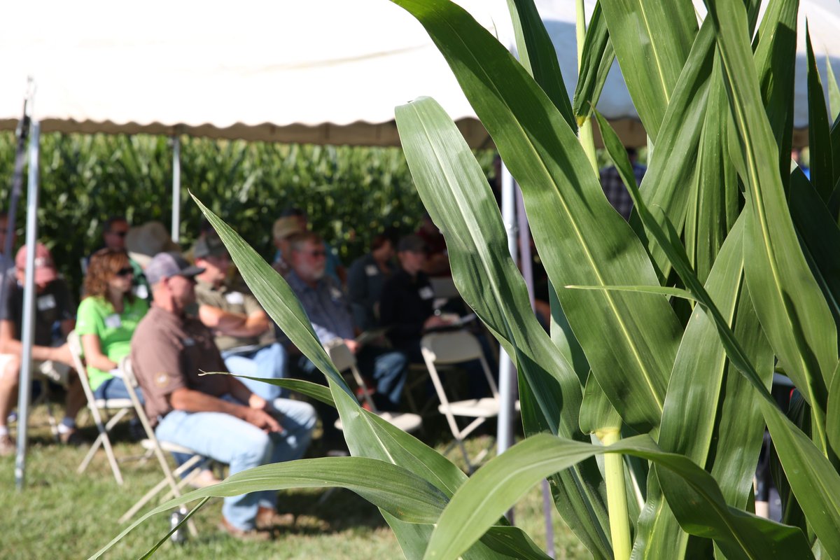 2024 CCA Summer Workshop - SAVE THE DATE
August 13 at the Field Extension and Education Lab (FEEL) in Boone.
