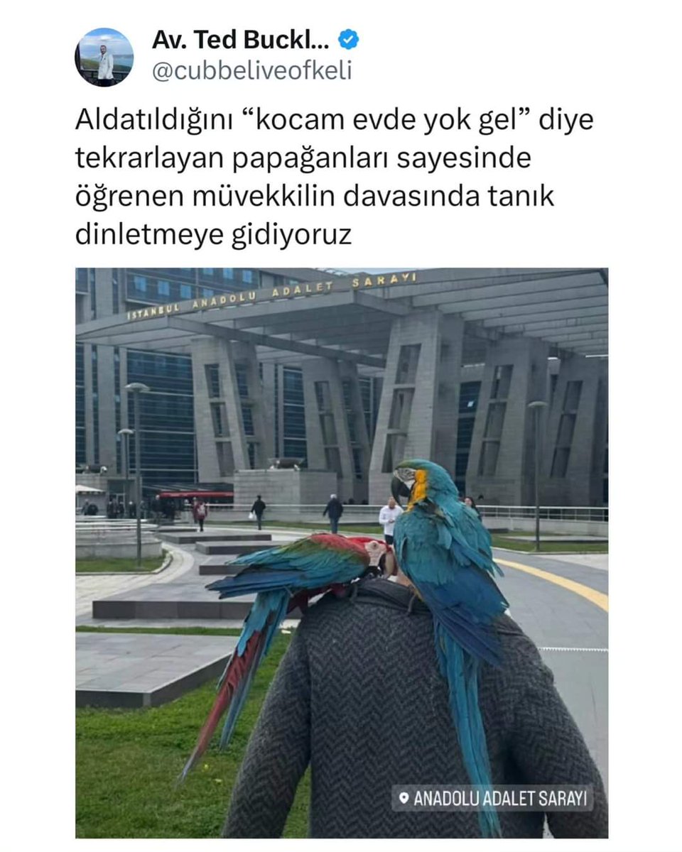 Soğan Cücüğü tweet media
