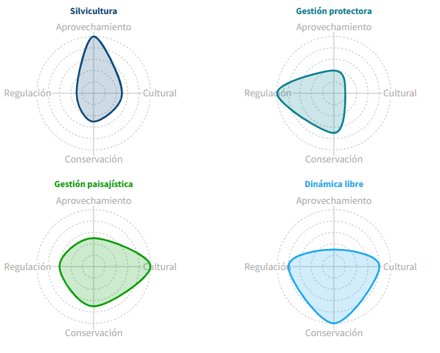 A veces tendemos a pensar que la gestión #forestal consiste solo en cortar árboles y NO 🌳⚠️ Existen muchos tipos de gestión forestal; aplicaremos una o otra dependiendo del caso. También puede dejarse evolucionar un #bosque libremente pensando en mejorar su #biodiversidad ✨