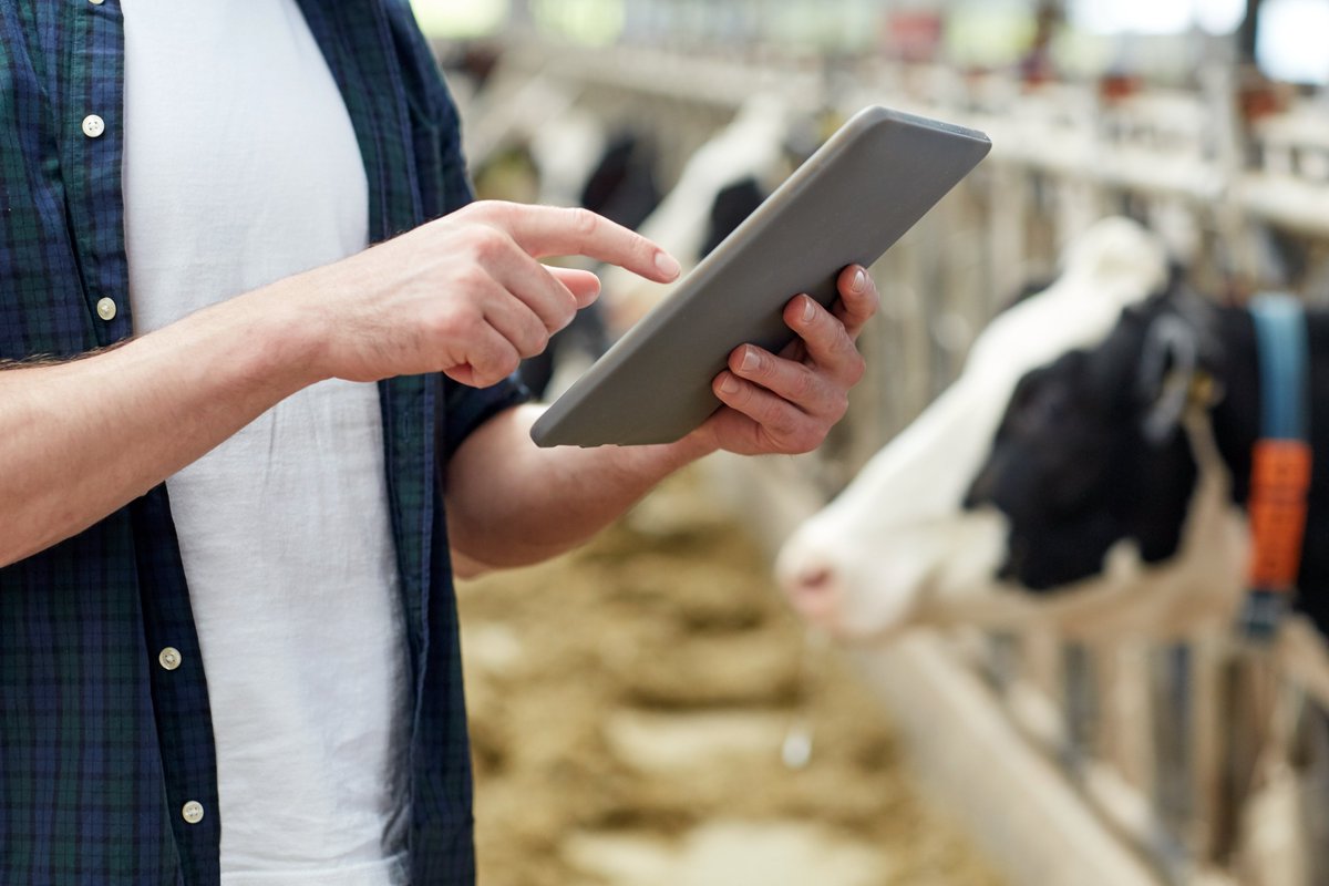 Innovation for Agriculture tweet media
