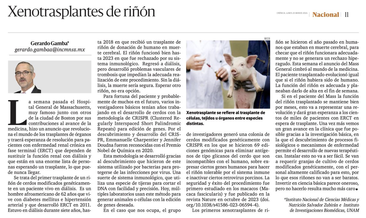 Gerardo Gamba (@gerardo_gamba) on Twitter photo Mi editorial de la semana en <a href="/LaCronicaDeHoy/">La Crónica de Hoy</a> trata sobre el trasplante de riñón de cerdo modificado genéticamente en un paciente en diálisis. Hecho histórico en la medicina. <a href="/NefroINCMNSZ/">Departamento de Nefrología y Metabolismo Mineral</a> <a href="/incmnszmx/">INCMNSZ</a> <a href="/FacMedicinaUNAM/">FacultadMedicinaUNAM</a> Mi editorial de la semana en <a href="/LaCronicaDeHoy/">La Crónica de Hoy</a> trata sobre el trasplante de riñón de cerdo modificado genéticamente en un paciente en diálisis. Hecho histórico en la medicina. <a href="/NefroINCMNSZ/">Departamento de Nefrología y Metabolismo Mineral</a> <a href="/incmnszmx/">INCMNSZ</a> <a href="/FacMedicinaUNAM/">FacultadMedicinaUNAM</a>