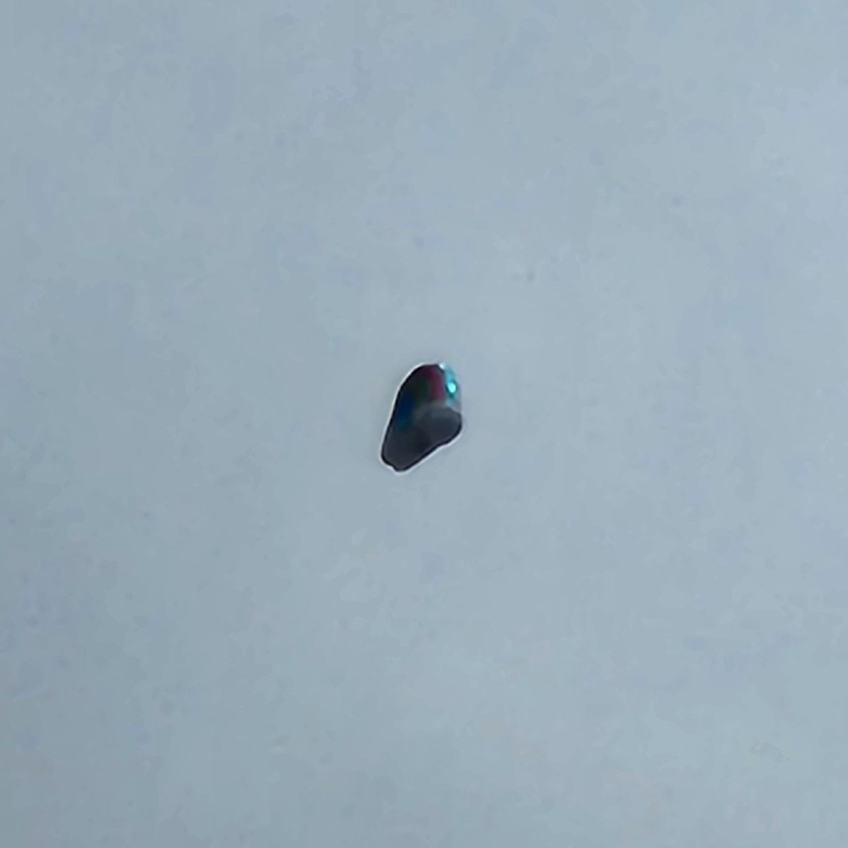 subjected_11's tweet photo. so...  I've never seen anything like this.  1st glance, I thought it was a metallic balloon, but quickly realized it was not effected by the windy day and it was significantly larger. so, I pulled out my phone. I stood approx. 150yds/237m away when i snapped 5 photos. the object appeared to be approx. 80ft/24m off the ground. before i could switch to video and re-center it disappeared; didn't fly away... just disappeared. (X only let me add 4 photos.) this was Tuesday March 12th, 2024, 11:23am PT, in front of #OlsenBarn in the meadow. 

#ufo #uap #wtf #extraterrestrial  #alienlifeform #UFOSightings #NorCal #PlumasCounty #news @elonmusk