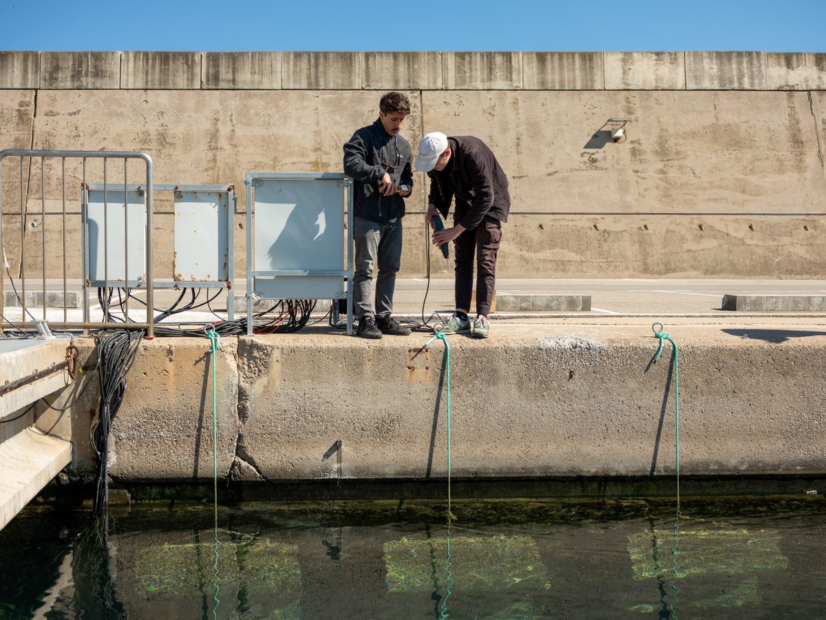 🐟 Last week, our Sense Making Team installed a Smart Citizen Water Station that will use sensors to measure a variety of physico-chemical parameters to regenerate biodiversity in the Palamós Marina. 💡 Discover the Smart Citizen Kit here: smartcitizen.me