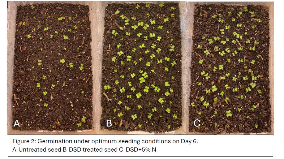 We recently received results back from laboratory tests looking at #canola emergence and germination with @ecotea_tm Dry Seed Dressing. They say a picture is worth 1000 words... Get diverse biology on your seed from the start. Ask us about the #EcoTeaChallange 🌱🪱🦠