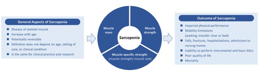 #GLIS has created the first #globalconceptual definition of #sarcopenia, through a rigorous and transparent International #DelphiConsensus process, comprising #experts from all major sarcopenia societies #worldwide. #osteosarcopenia. academic.oup.com/ageing/article…