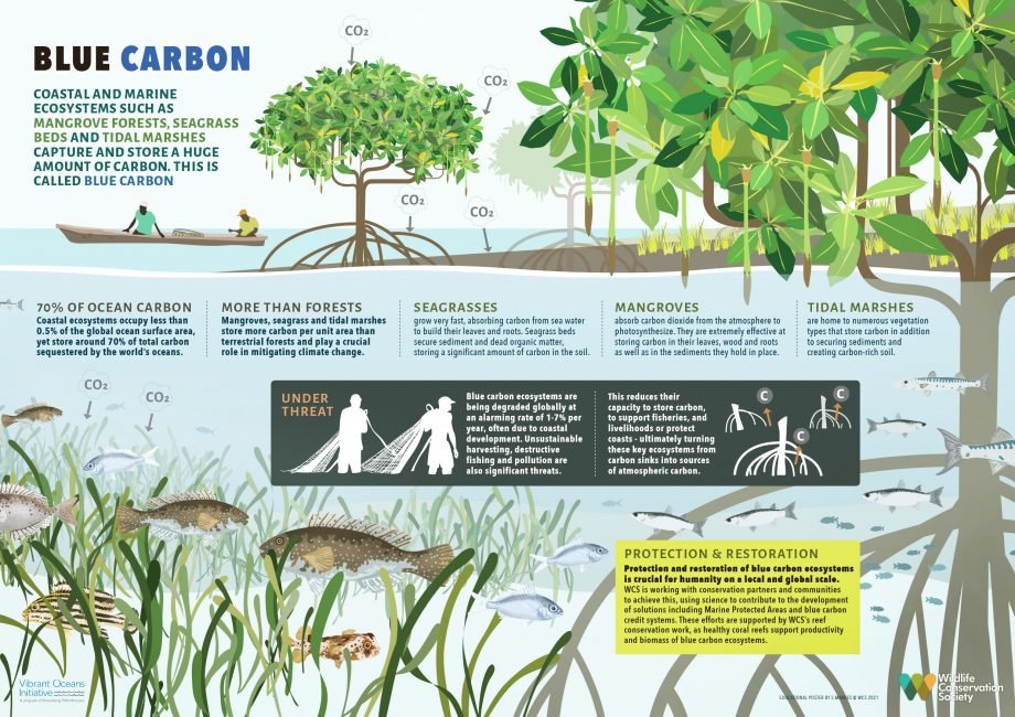UN Biodiversity tweet media