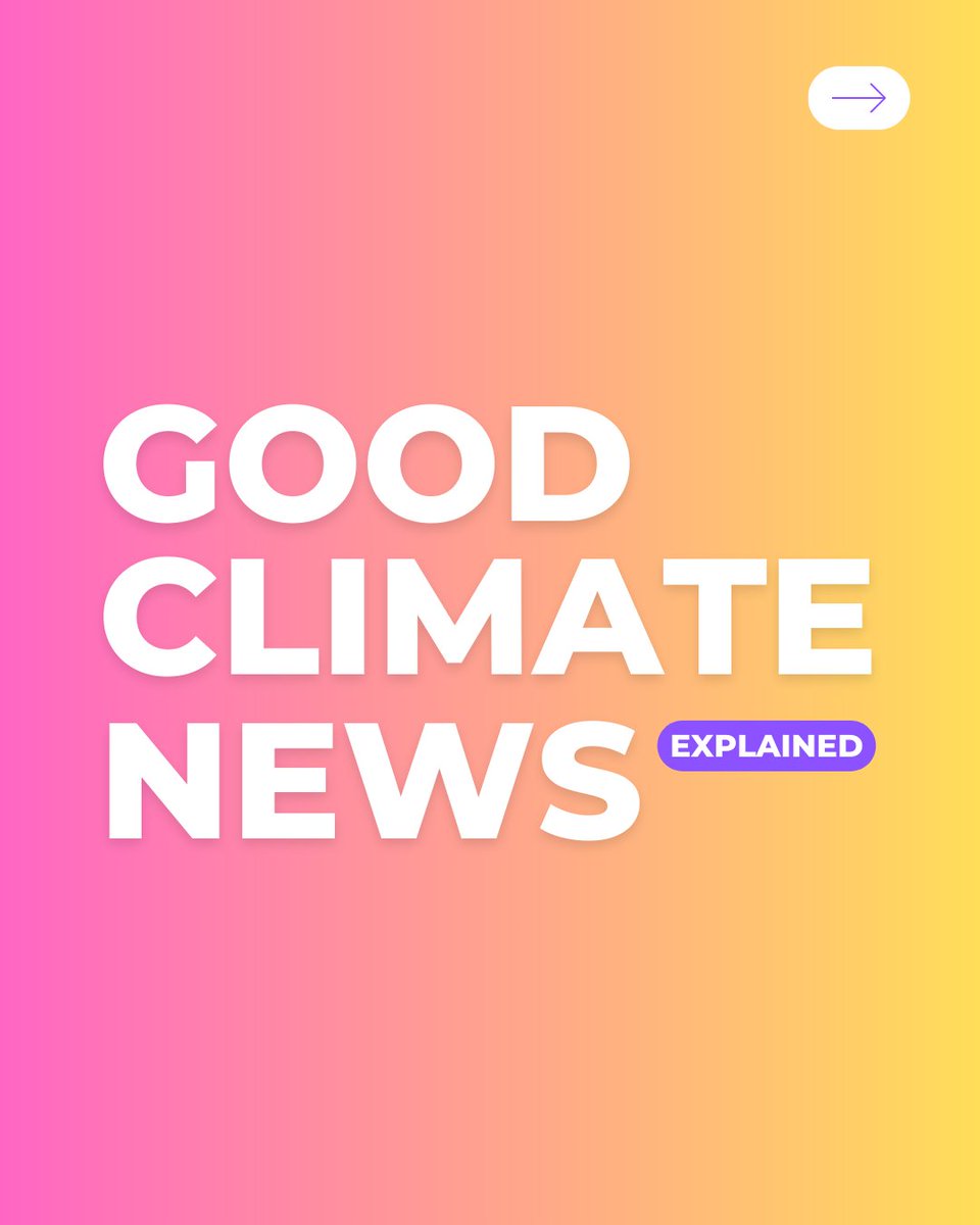 Good news alert! Get ready to kickstart your week with a dose of positivity from the world of climate action! 🌍💚 

Which one is your favourite? 👇

#ClimateNews #PositiveVibes #GoodClimateNews #PositiveNews #MondayMotivation