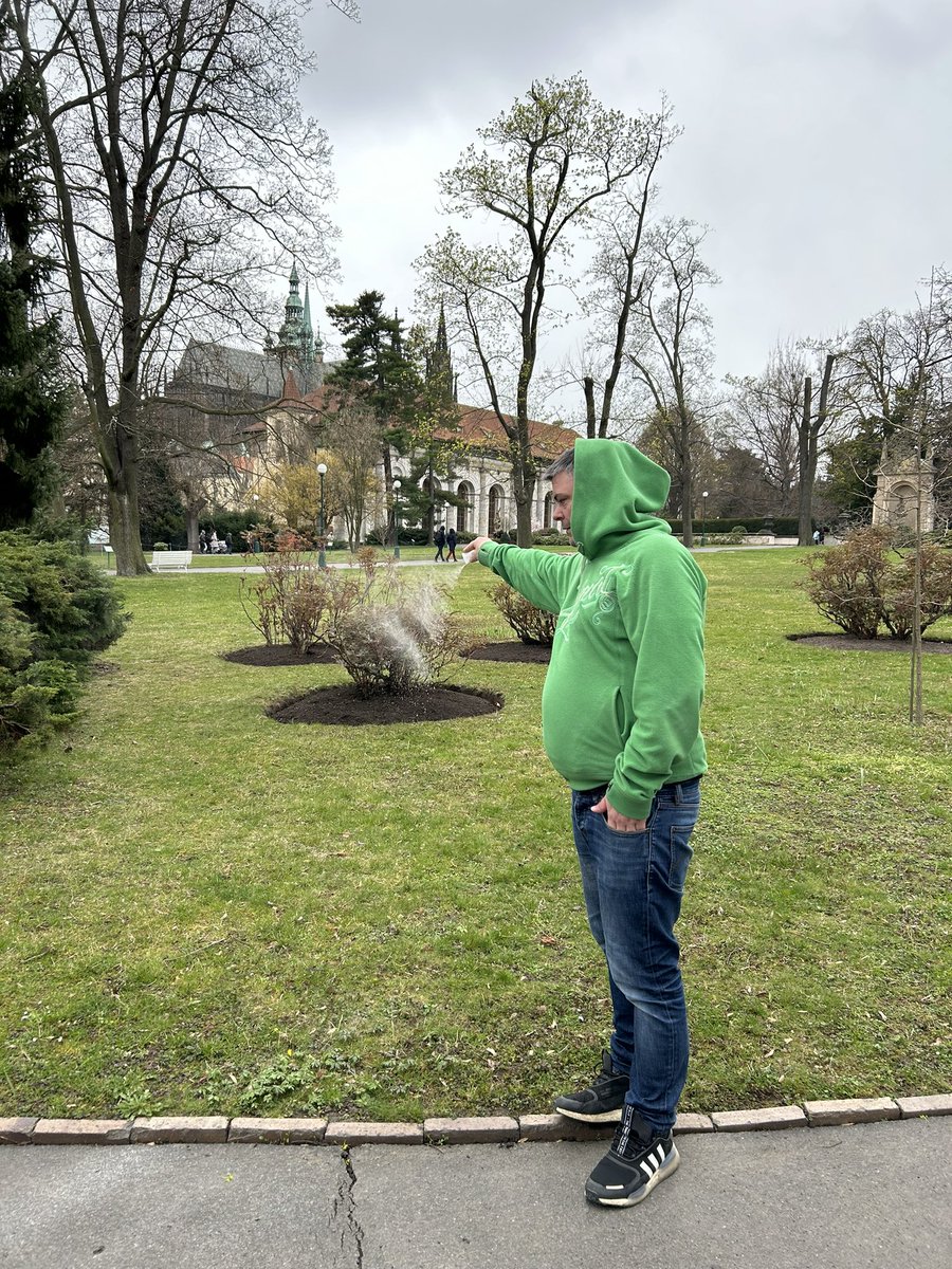 GPBodle's tweet photo. 24/3/24 Royal Gardens, Prague Castle, Czechia https://t.co/isaqH92AHX