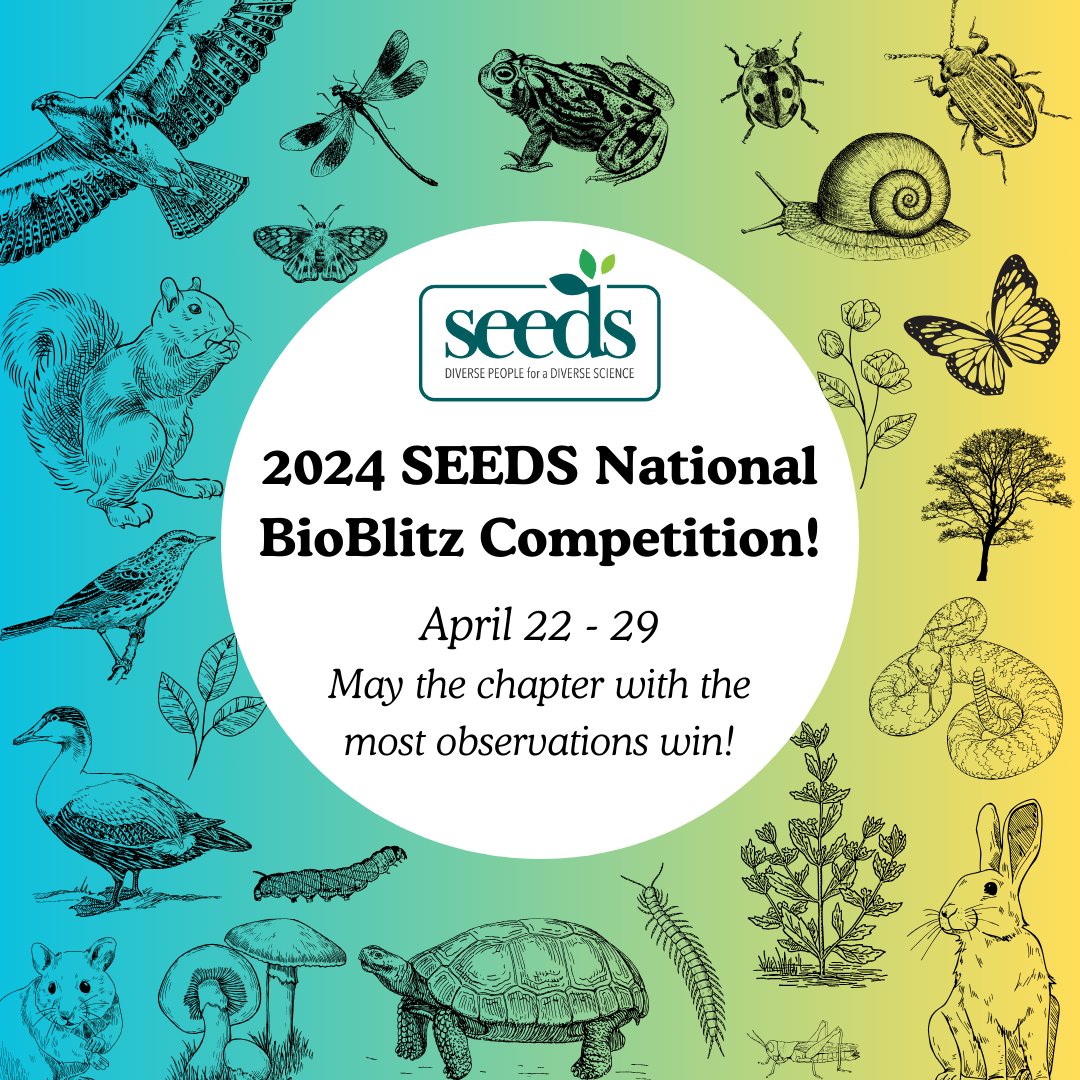 We're excited to announce our annual National BioBlitz Competition! Join us April 22-29 to document wildlife & local flora & fauna in your area! SEEDS Chapters compete against other chapters for the title of #BioBlitzChampion - & win prizes! Link in bio to register your chapter!