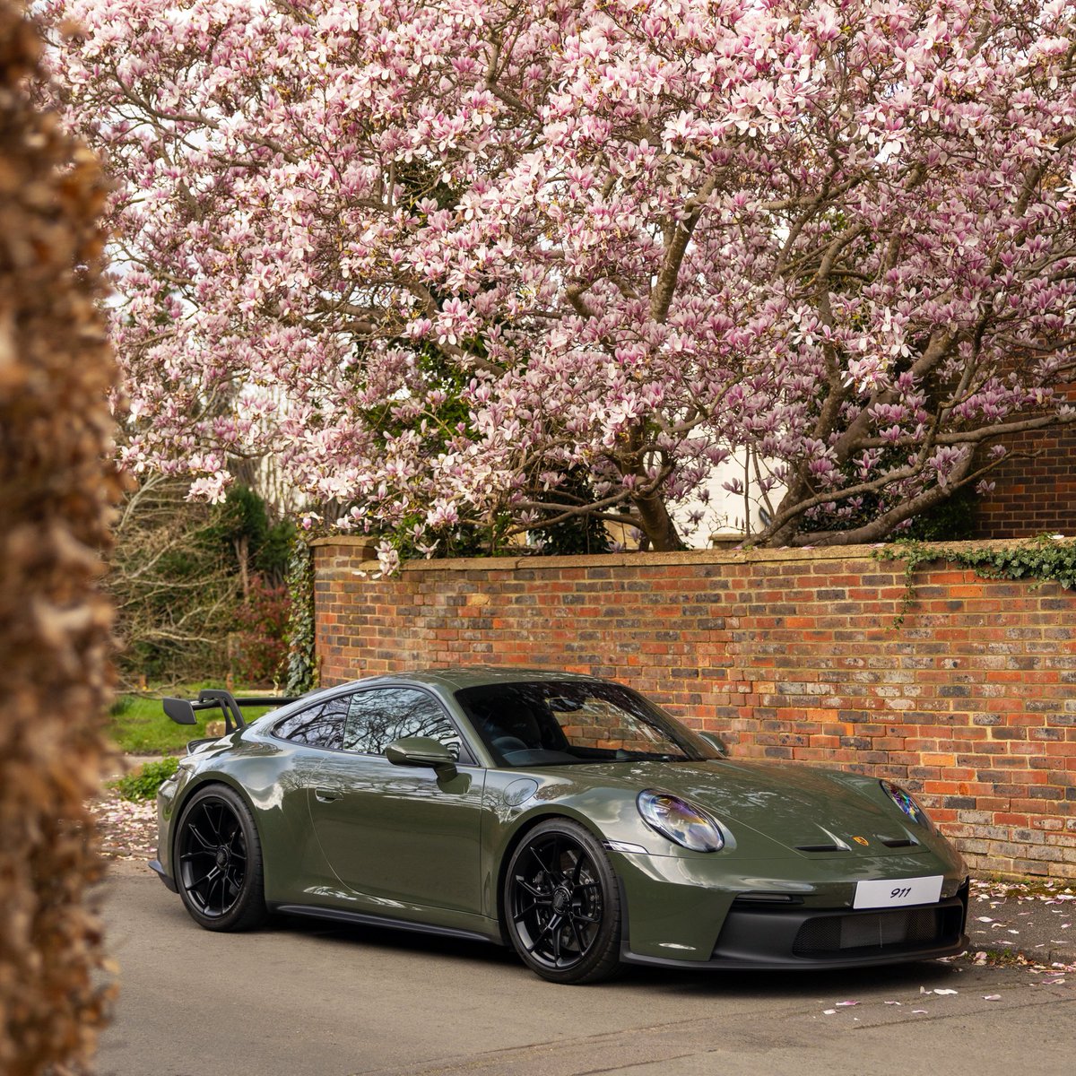 Amidst a flurry of pink blossoms, the Black Olive GT3 steals the spotlight, a masterpiece of speed and style in the tranquility of spring 🌸