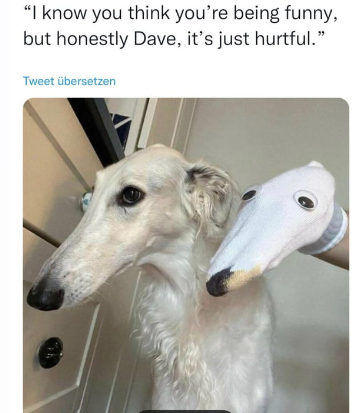 MemeCoinMaster2's tweet photo. Be nice to the Borzoi
$BORZ @wolfgangborzoi
@Sartoshi0x @Thorshammergems @YenTecSolutions
@TheSolanaOracle
#solana #bnb📷 #slerf #bonk #shibarmy #memecoin #100x #gem #godme #cia #smole #dome #wif #apewifhat https://t.co/CRt47008or