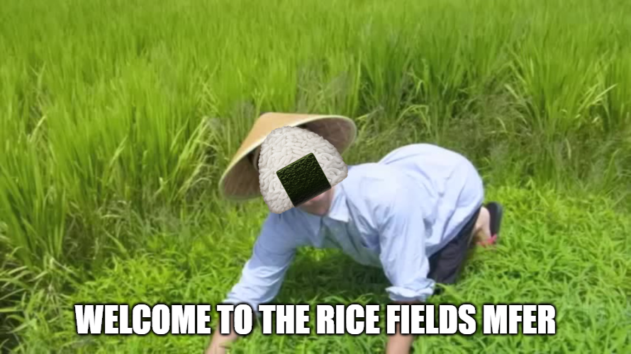 When i see a new follower