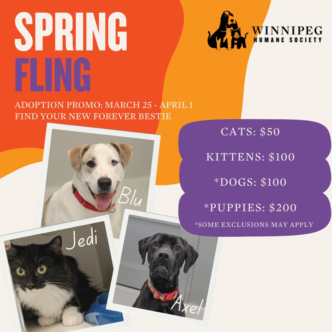 Spring has sprung (ish), and we want to help you find a new best friend to frolic with. Adoption fees are reduced until April 1st so come on down and meet some of our adoptables who are waiting for their forever homes. ❤️🐶🐱