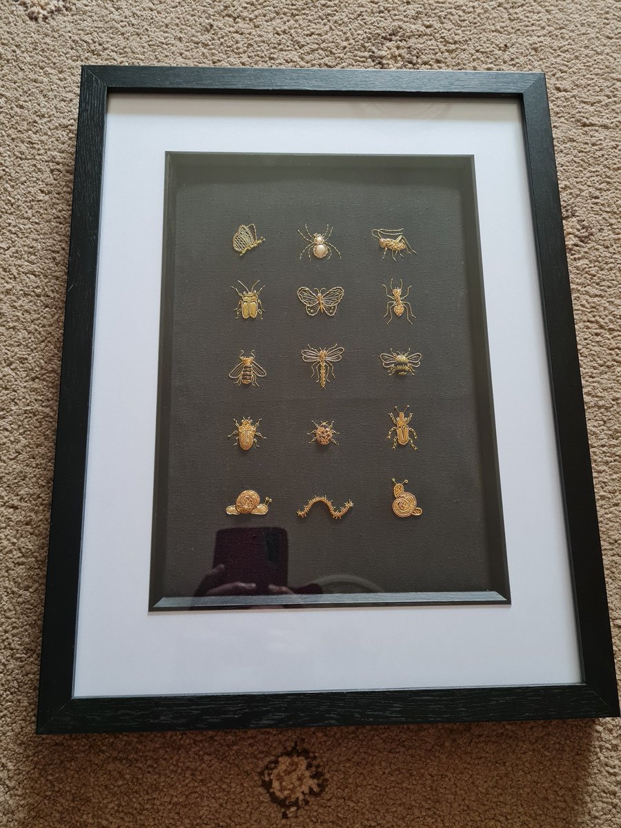 Finally got my Goldwork Entomology Study framed.

Really pleased with it especially as frame depth enhances the 3D effect of the tiny bugs.

#Goldwork #embroidery #insects #goldworkembroidery