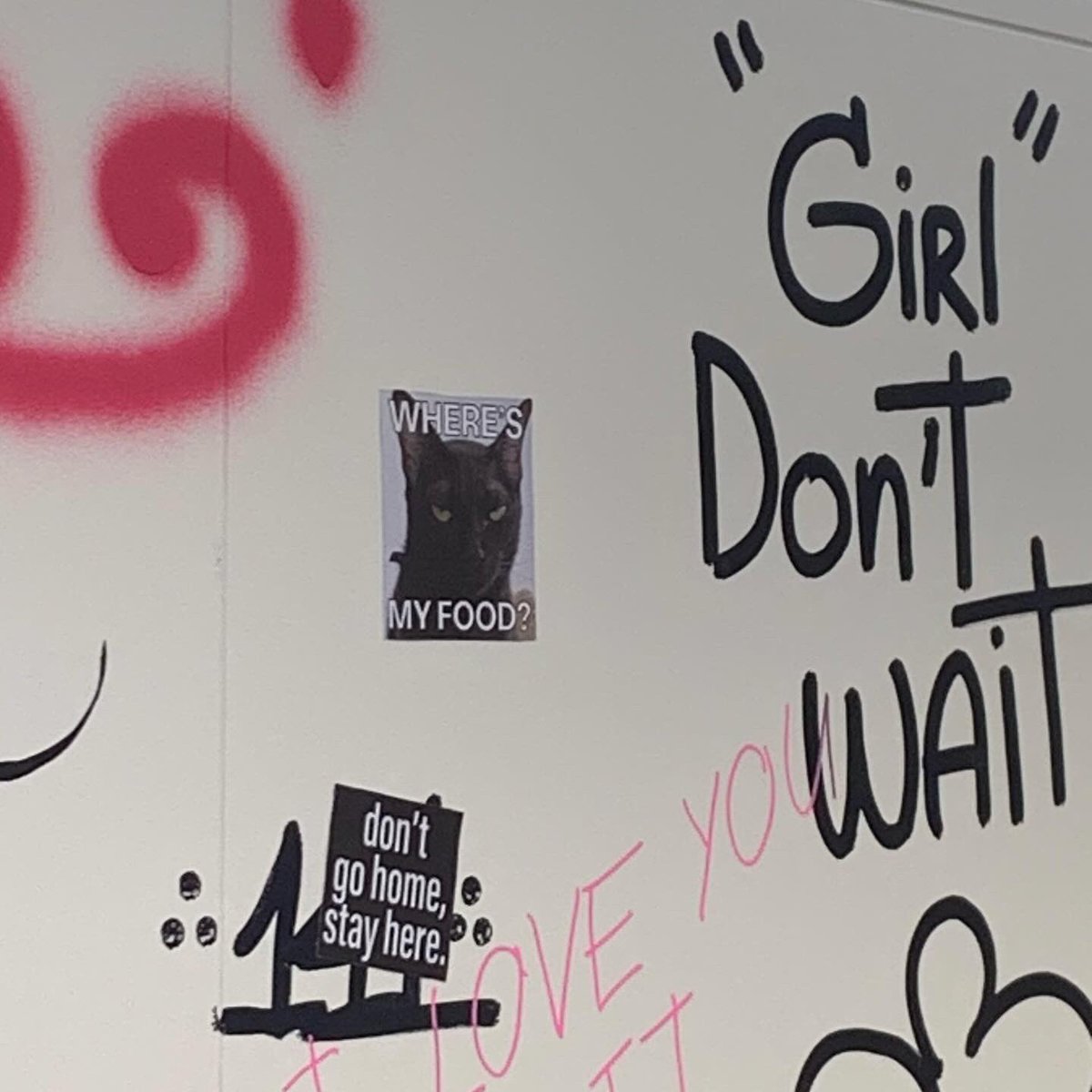 9Febbbbbbbbb's tweet image. 🐈‍⬛🌙✨🤍