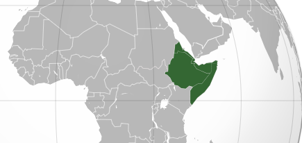 Chakham_Analyst's tweet photo. #Ethiopia rescued #Somalia from the ashes and transformed #Djibouti's economy. And remarkably, its 'strategic kindness' paved the way for #Eritrea to achieve its long-cherished dream of independence.   Should Ethiopia scale back its involvement, the repercussions could be profound. Eritrea is already devastated, might find its situation worsening. Djibouti's economy, could plummet without the annual 2 billion $$ from Ethiopia port fee( over 70% of its GDP). Somalia would be dominated by terrorists without the stabilizing influence of Ethiopian forces. This is why I dare to say, Ethiopia is not just part of the Horn; it is the Horn. it's its foundation. it is the creator. Ethiopia is a colossal force,its the titan, immune to intimidation, and destruction. its undeniable hegemon; its demands for sea access can't be denied!! Its just a matter of time!