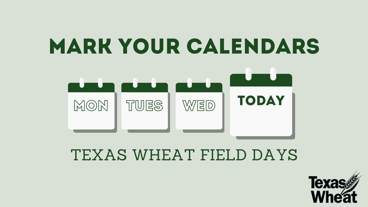 A schedule of upcoming wheat field days across the state is available at texaswheat.org/for-farmers/wh….