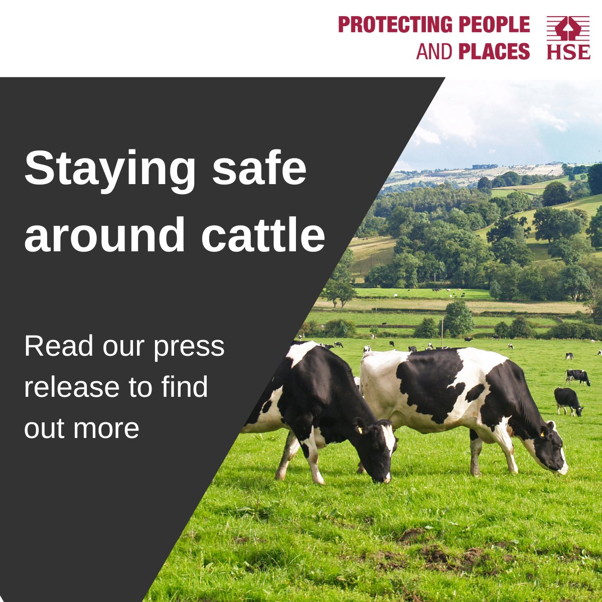 With the Easter holidays upon us, thousands of people will be heading out to enjoy the great British countryside. 🌳 There are many ways to make sure everyone stays safe. You can read more about staying safe in the countryside this Easter here: press.hse.gov.uk/2024/03/25/sta…+