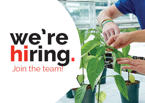 We're hiring 3 Technical Assistants in Research & Development! If you find working in an industry-driven research environment involving greenhouse, field & laboratory activities exciting ~ then consider applying for one of these exciting positions. ➡️ow.ly/m1po50QZROA
