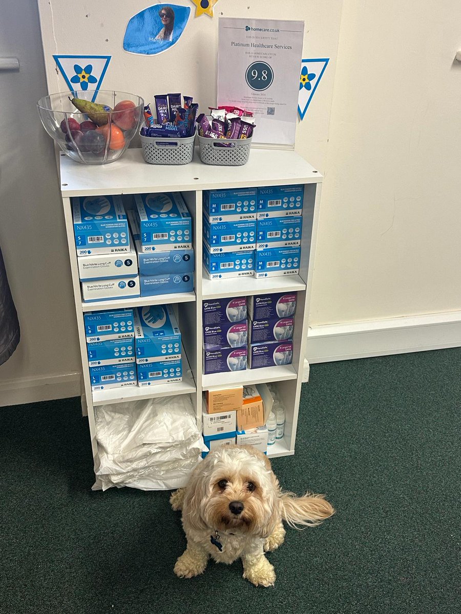 Snoopy loves our new PPE station for the staff to grab whatever they need with added treats  #platinumhealthcare #platinum #healthcare #domicilarycare #careworkers #care