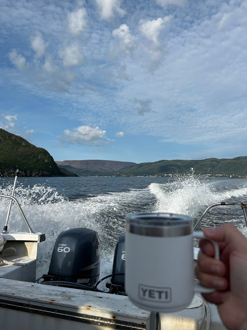 Have you ever wondered what it's like to be a marine researcher? Check out the first instalment in our new blog series "A Day in the Life of a Marine Researcher" 🐳

Read on for more!
👇
ahoi.ca/post/a-day-in-…

#AHOI #GrosMorne