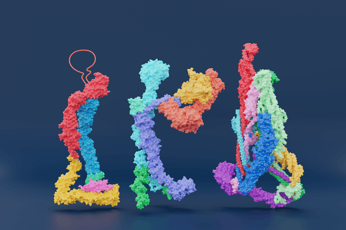 From left to right, this is an image of DSL, HOPS, and EXOCYST protein complexes, a team of specialized delivery workers in your cells. Learn more about this #ScienceArt and see even more amazing pieces at our gallery! umassmed.edu/bmb/outreach/s…