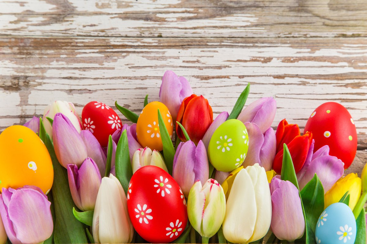 We will be closed on Friday, March 29th in observance of Good Friday.  We will also be closed on  Monday, April 1st, and will return to the office on Tuesday, April 2nd. Have a wonderful Easter!