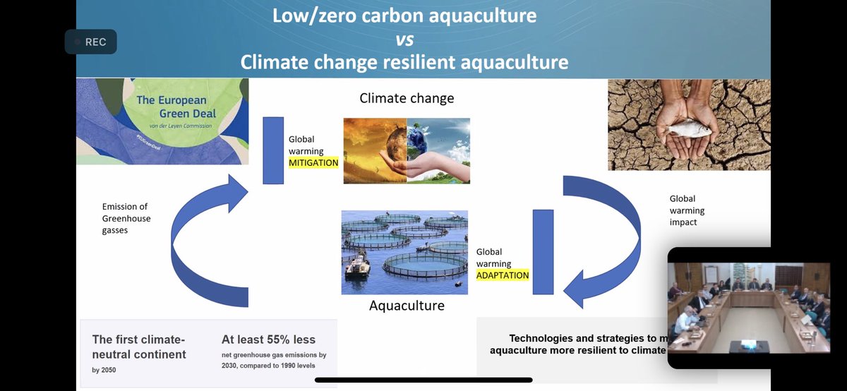 Today was an enriching day exploring restorative aquaculture activities as a sustainable and resilient sector. In this webinar, we delved into various aquaculture activities and their significant impact on climate change mitigation and ecosystem restoration with the @UN_FAO_GFCM