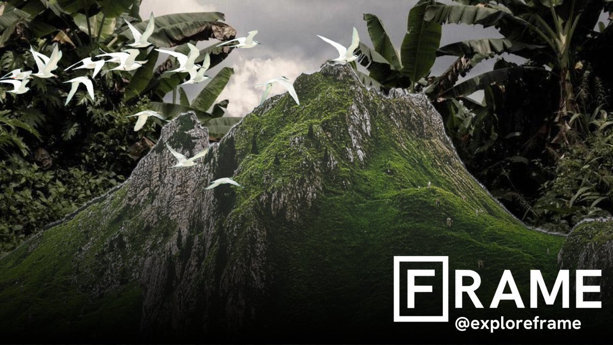 exploreframe's tweet image. Each year, hundreds of thousands of migrants cross one of the world’s most treacherous regions, the Darien Gap. Journalist @michelle_shen10 tells the story of one family’s journey through the jungle: beta.frame.media/experimental/d…