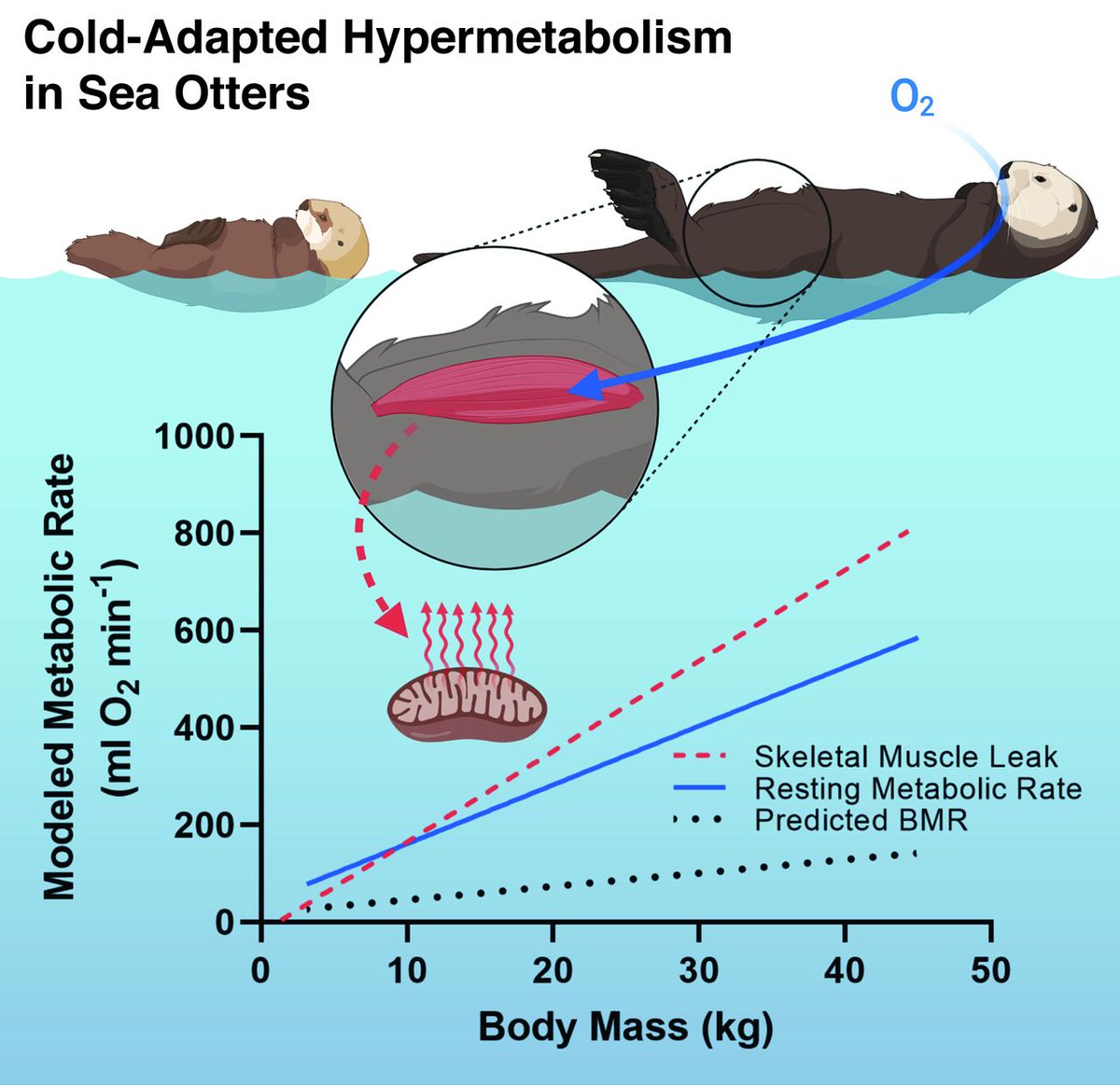 Science Magazine tweet media