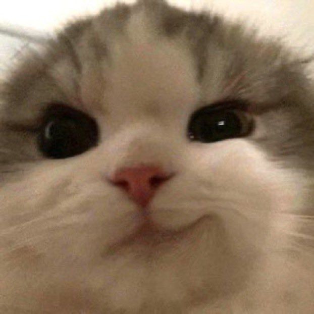 current_crises2's tweet image. 雨やだなぁって思ってたら警報級の大雨だったんだ！
被害とか出てな