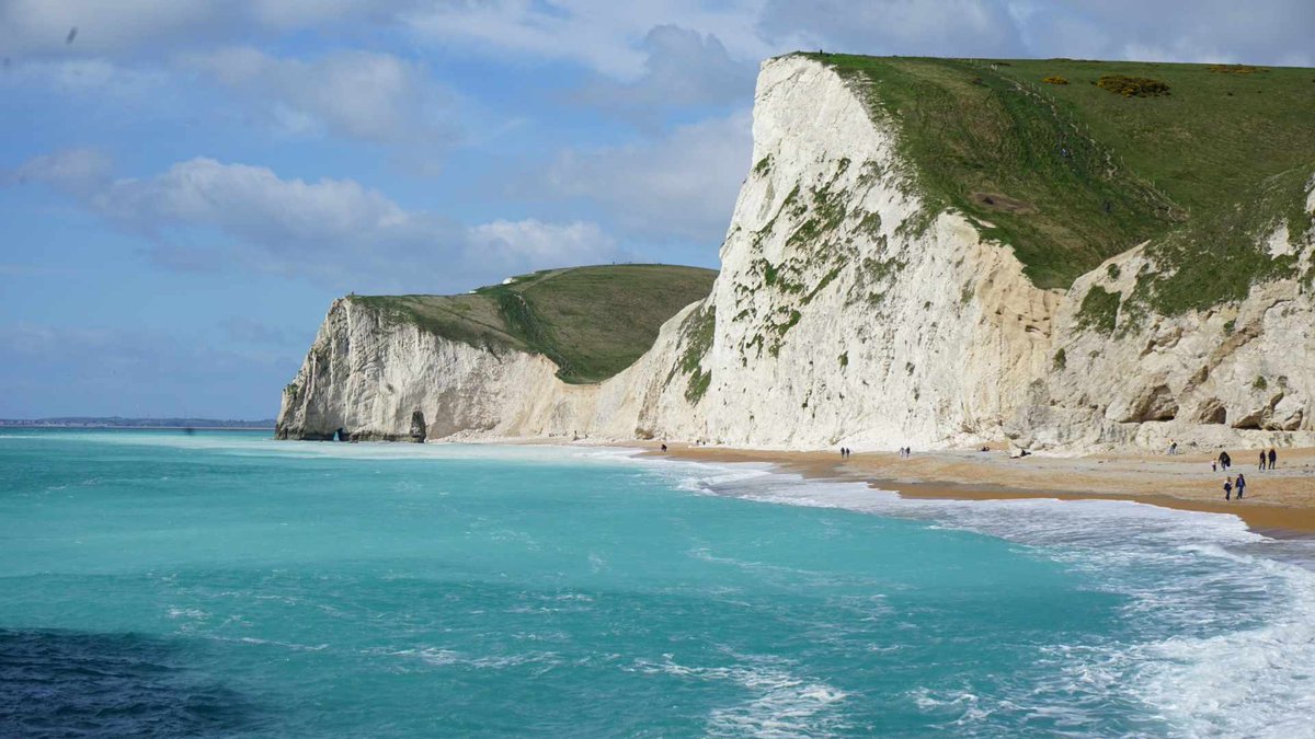 WryCritic's tweet image. The English coast has the imposing white chalk cliffs deposited in the shallow seas of Cretaceous dinosaur period. Composed of microscopic fossils of phytoplanktons known as Coccolithophores. The same organism now blooms in waters turning it azure

Living and geology side by side