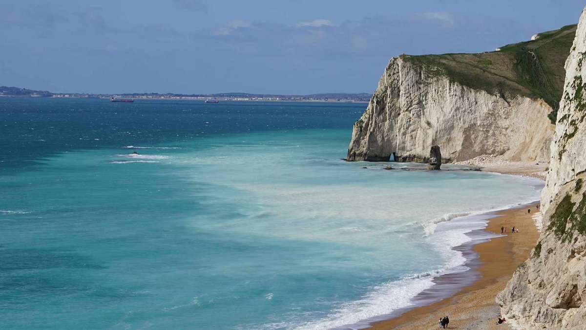 WryCritic's tweet image. The English coast has the imposing white chalk cliffs deposited in the shallow seas of Cretaceous dinosaur period. Composed of microscopic fossils of phytoplanktons known as Coccolithophores. The same organism now blooms in waters turning it azure

Living and geology side by side