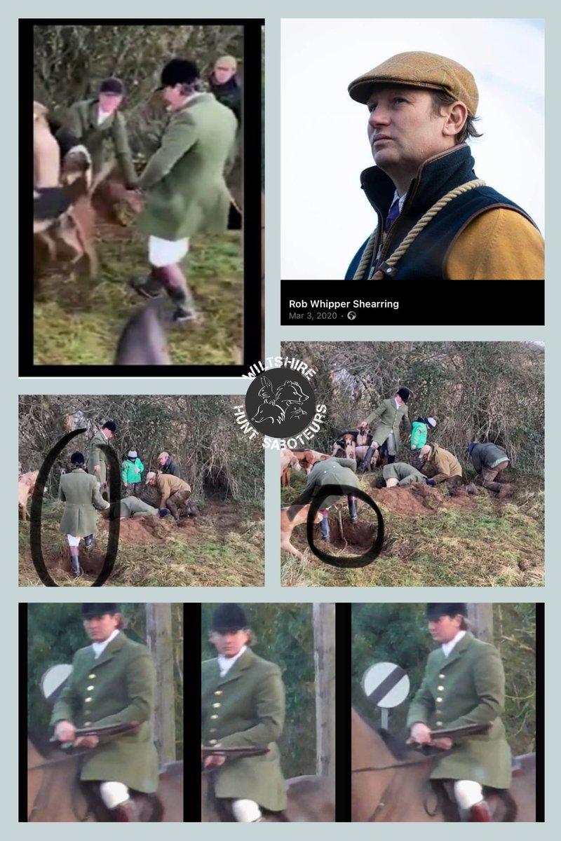 Come on <a href="/RSPCA_official/">RSPCA (England & Wales)</a> <a href="/WiltsRuralCrime/">Wilts Rural Crime</a> why has this one got away with it?