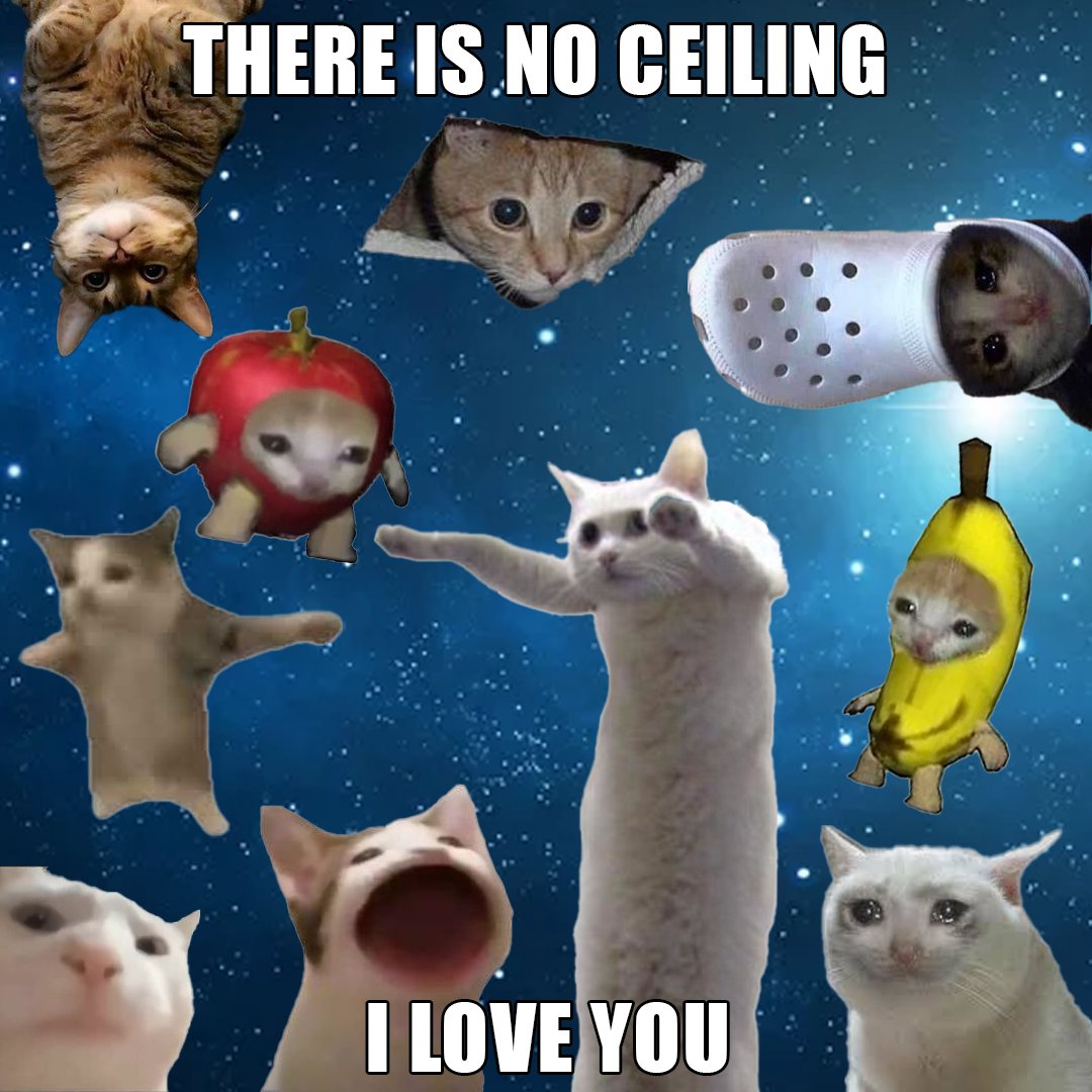leveleduphuman's tweet photo. @upsidedowncat_ @Ceilingsolcat @croccat69 @applecatsolanas @bcatonsol_ @longcatsolana @CryingCat_sol @POPCATSOLANA @VibingCatSolana @HAPPIcatOnSOL https://t.co/KrYToqEAnK