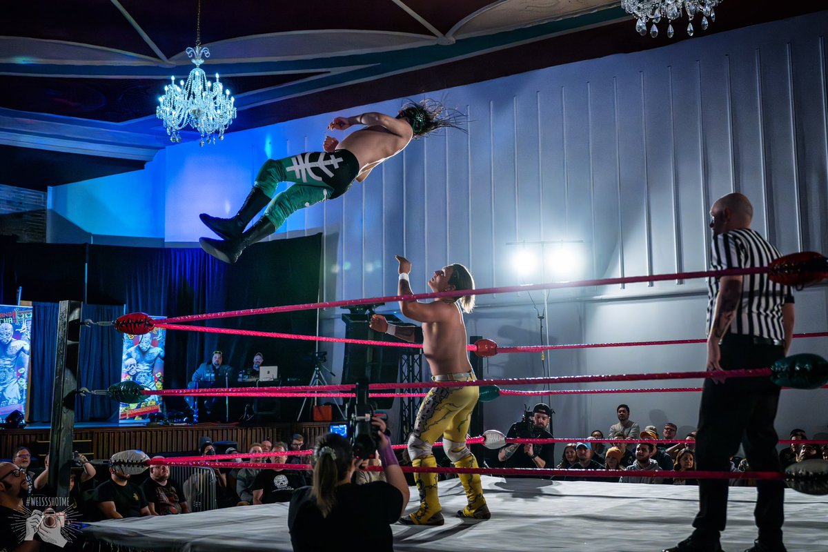 Viajero Luchador tweet media