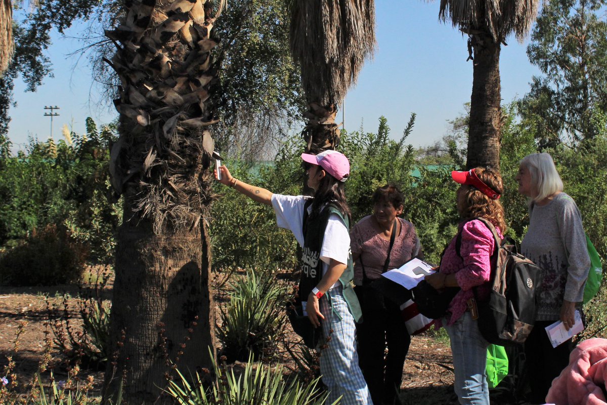 🌳🌊Destacamos una gran instancia participativa con vecinas y vecinos de la comuna de Pedro Aguirre Cerda, en el Jardín Adriana Hoffmann, bosque urbano ubicado en las inmediaciones del Museo Interactivo Mirador (MIM) 🌊