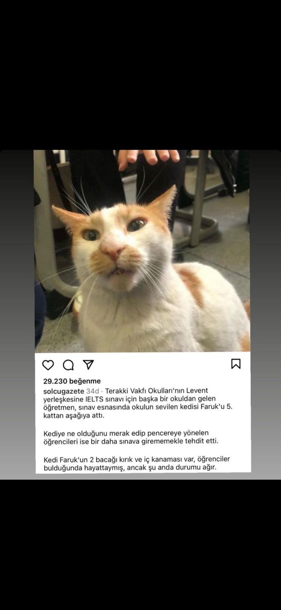 Önce en savunmasız olana sahip çıkacağız ! Hem yaşam hakkına, hemde adaletine . Hayvana şiddet ,istismar zulüm bitince huzur bulacak toplum #farukkedi #ferhatatantutuklansın