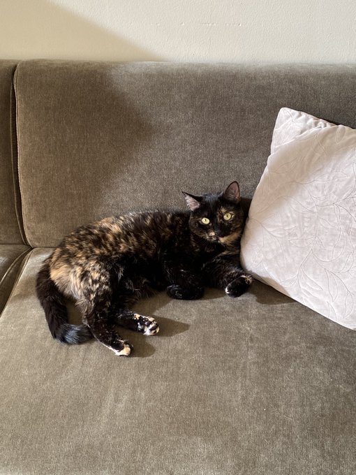 Watch big honkin caboose's leaked NSFW photo on TwXstars