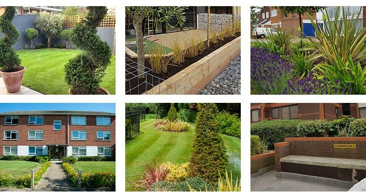 Design, plant, maintain, get in touch today for a skilled and dedicated team to carryout our your grounds maintenance.
We work on new builds, flats, groups of houses, commercial and industrial premises across London, Essex, Cambridge, Norfolk & Suffolk.
#gardeningservices