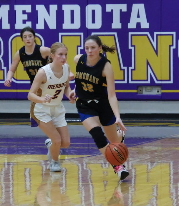 YouCantDefendUs's tweet photo. Congrats to 2 of our Bobcat ballers for being recognized on this year's @MyWebTimes  All-Area Team

Haley McCoy - 3rd team
Abby Hohmann - Honorable Mention https://t.co/N52OE4OTYS